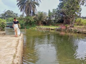 Yemoji Natural Pool